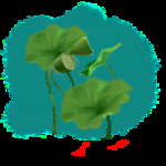 中国风荷花素材