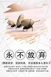 追逐梦想