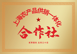 铜牌