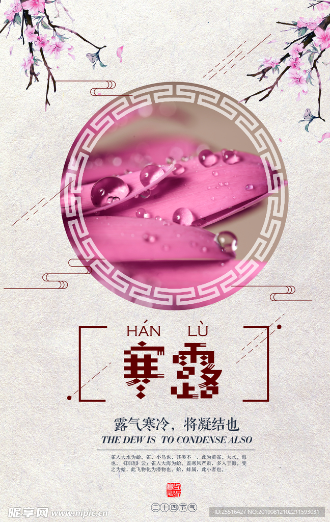 寒露 海报 荷花 节气 背景