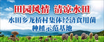 蓝天白云  山  菌 香菇