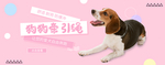 狗狗