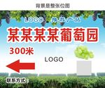 葡萄园海报