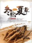 冬虫夏草