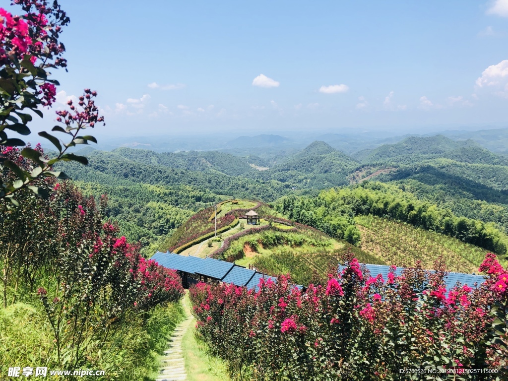 水源山花海  风景图