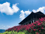 水源山花海风景图