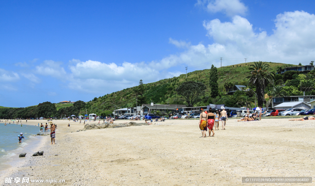 新西兰海滨夏日风景