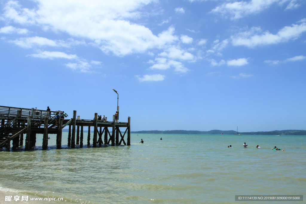 新西兰海滨夏日风景