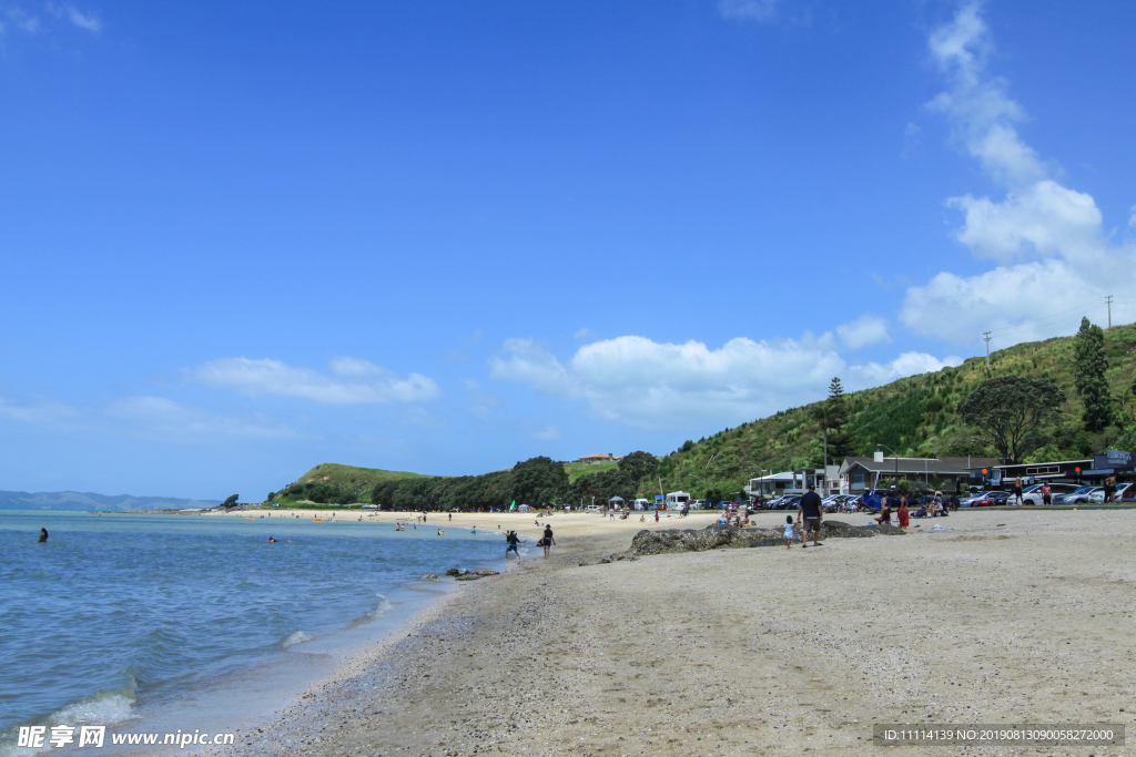 新西兰海滨夏日风景