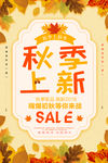 秋季上新