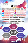 市场整治收获的海报