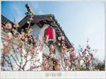 无锡市 无锡惠山洛社  惠山区