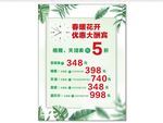手表海报