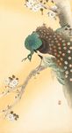 孔雀水墨画