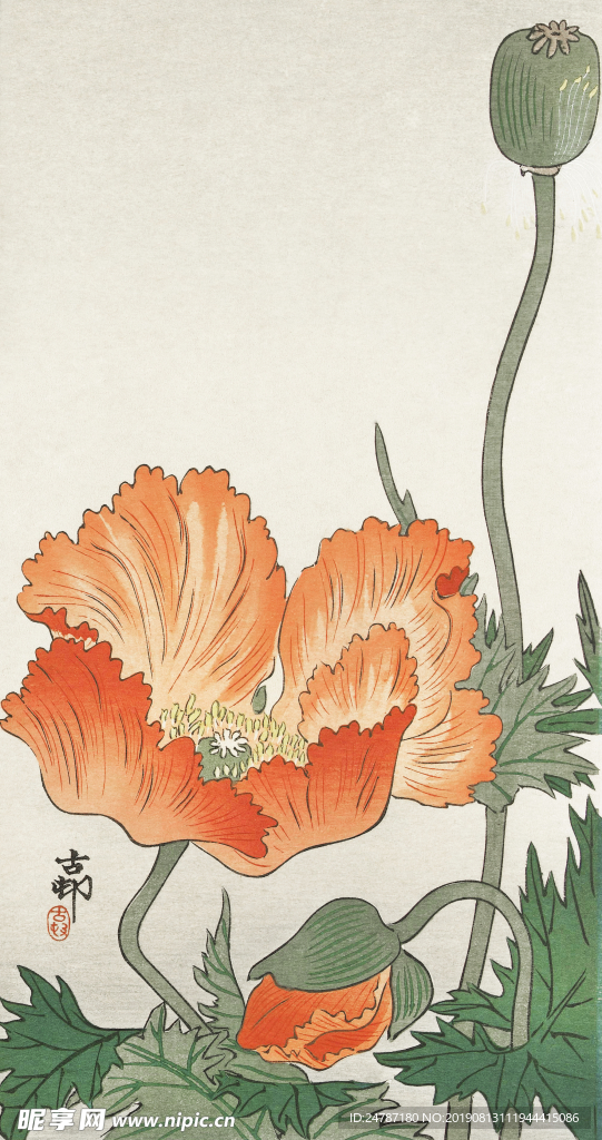 红色花朵