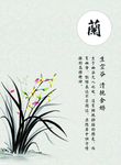 兰花