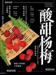 杨梅