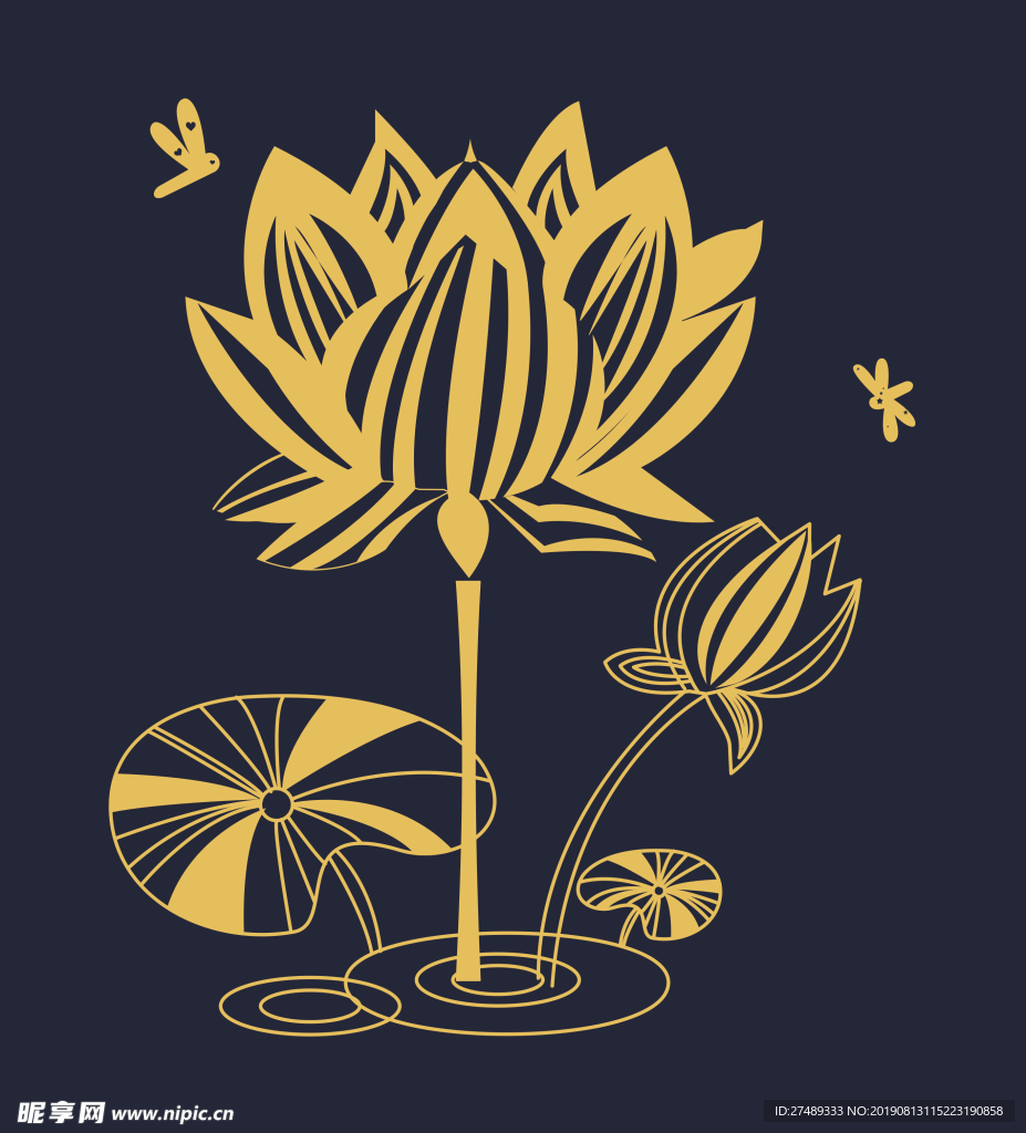 荷花