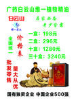 白云山精油