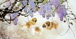 国画三只狗犬葡萄树