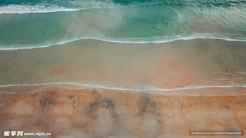 大海