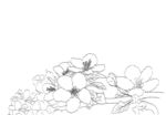 花线条