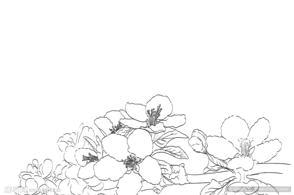 花线条