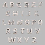 字母设计