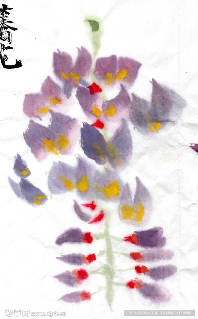 紫藤花