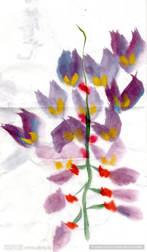 紫藤花