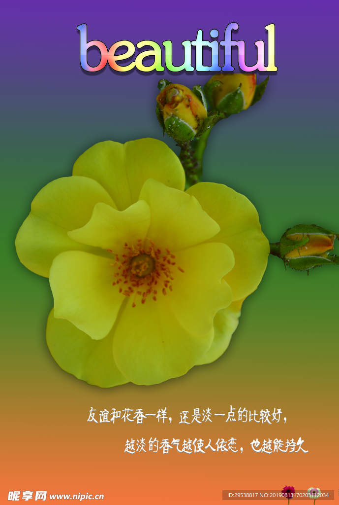 唯美图片