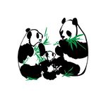 熊猫