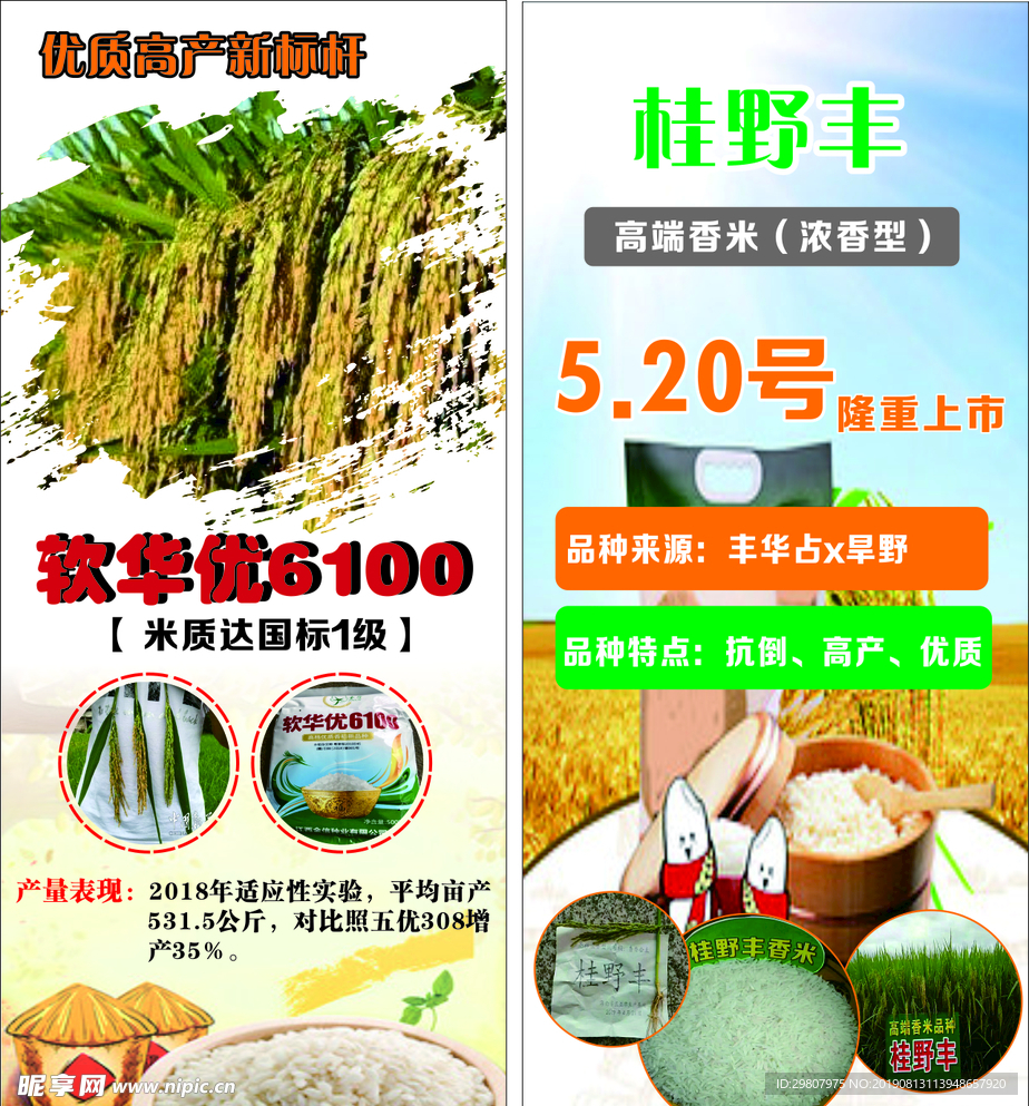 大米 香米  稻 米展架