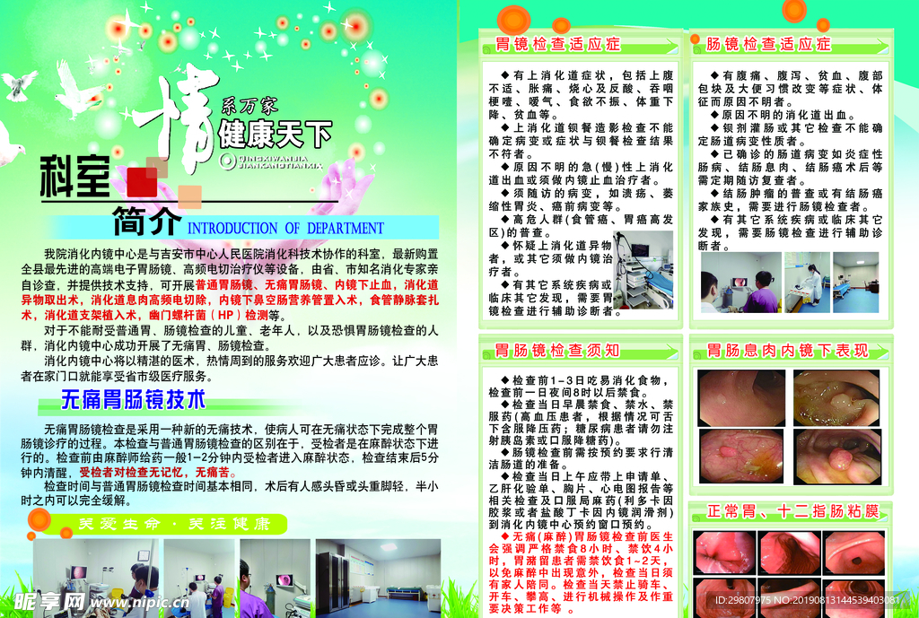 医院传单  胃肠镜   科室