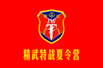 图标