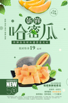哈密瓜海报