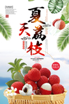 新鲜荔枝采摘