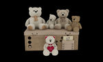 儿童熊玩具3d模型