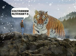 合成海报