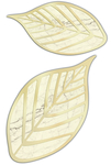 树叶  设计  理石  裁型