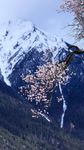 雪山
