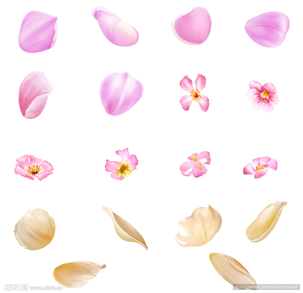 浪漫唯美花瓣