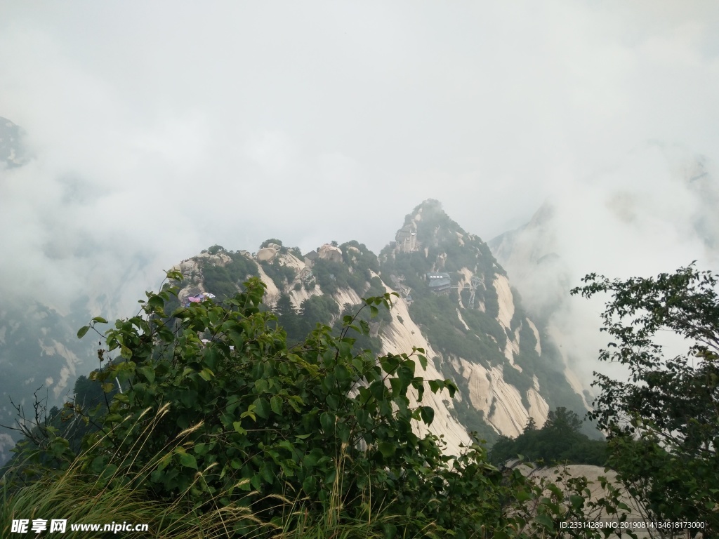 泰山