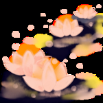 泼墨
