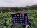 风景