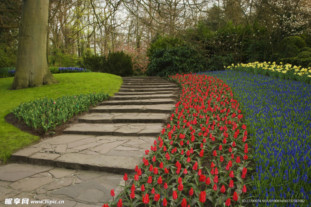 公园森林小道花道