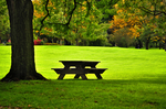 公园椅子绿地