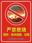 严谨燃烧