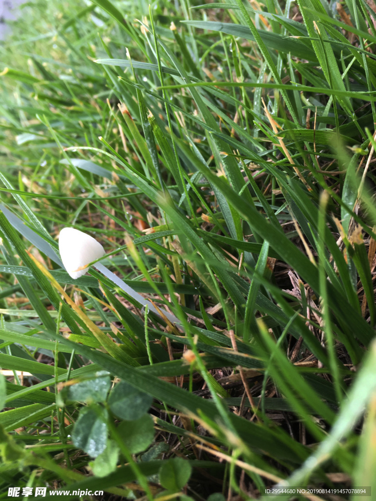 雨后小世界