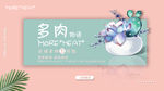 多肉banner图